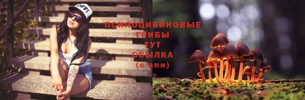 СК Абаза