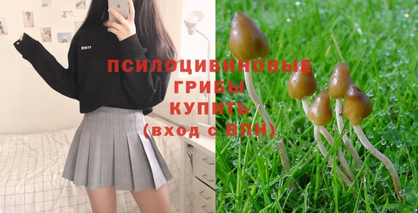 сатива Алексеевка