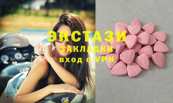 индика Иннополис