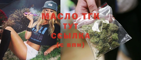 тгк Инсар