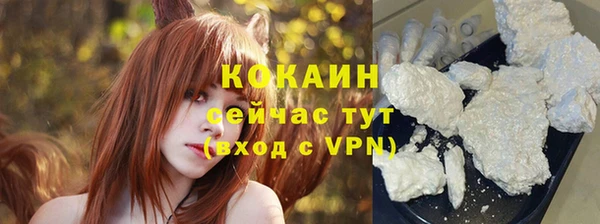 гидра Инта